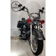 HARLEY DAVIDSON HERITAGE SOFTAIL FLSTC 1690