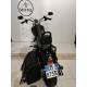 HARLEY DAVIDSON SPORTSTER