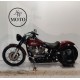 HARLEY DAVIDSON SOFTAIL STANDARD 100°