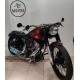 HARLEY DAVIDSON SOFTAIL STANDARD 100°