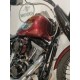 HARLEY DAVIDSON SOFTAIL STANDARD 100°