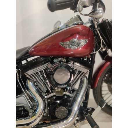 HARLEY DAVIDSON SOFTAIL STANDARD 100°
