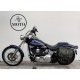 HARLEY DAVIDSON SOFTAIL CUSTOM 100°