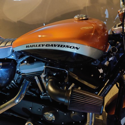 HARLEY DAVIDSON CUSTOM